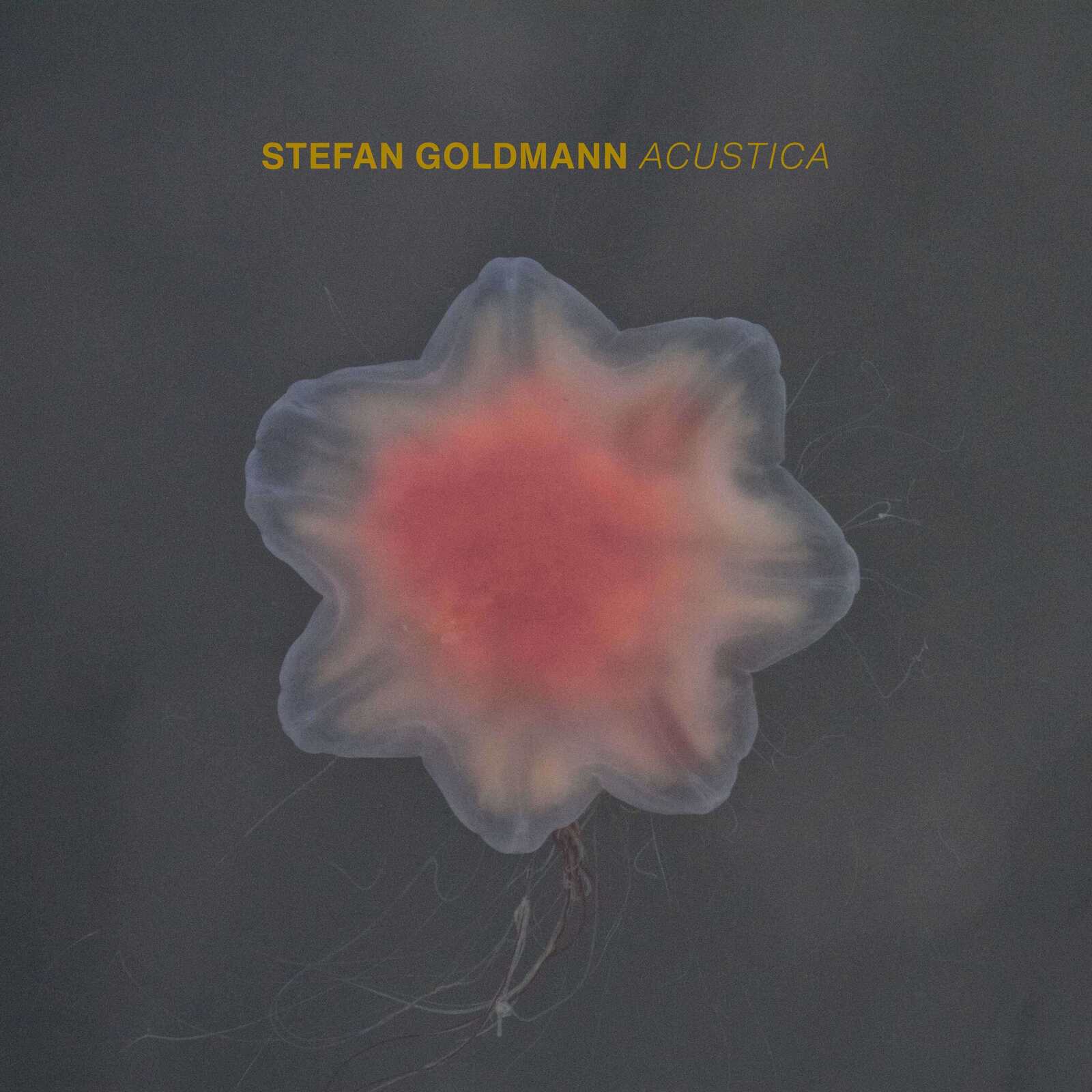 Picture of Stefan Goldmann - Acustica