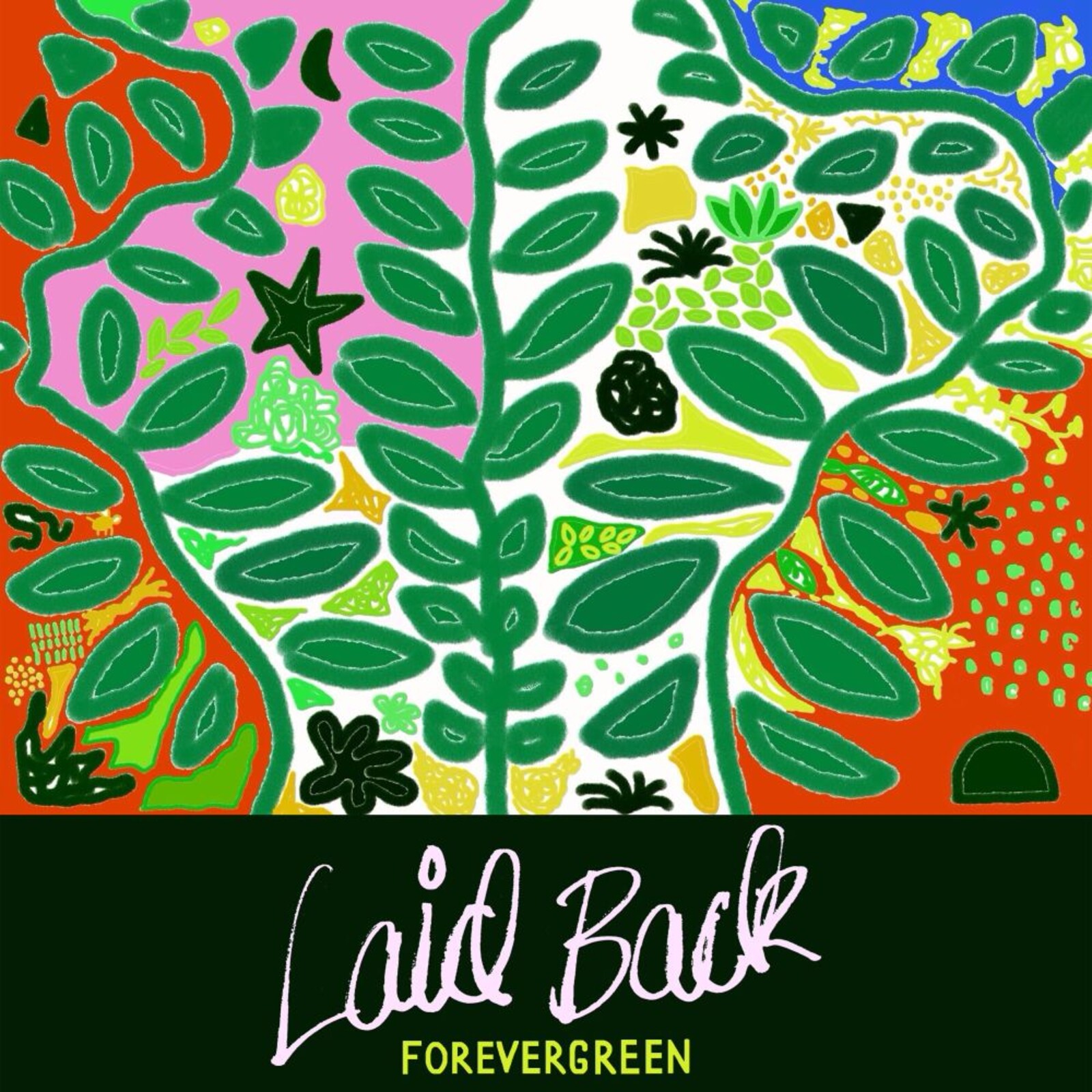 Picture of LAID BACK - FOREVERGREEN