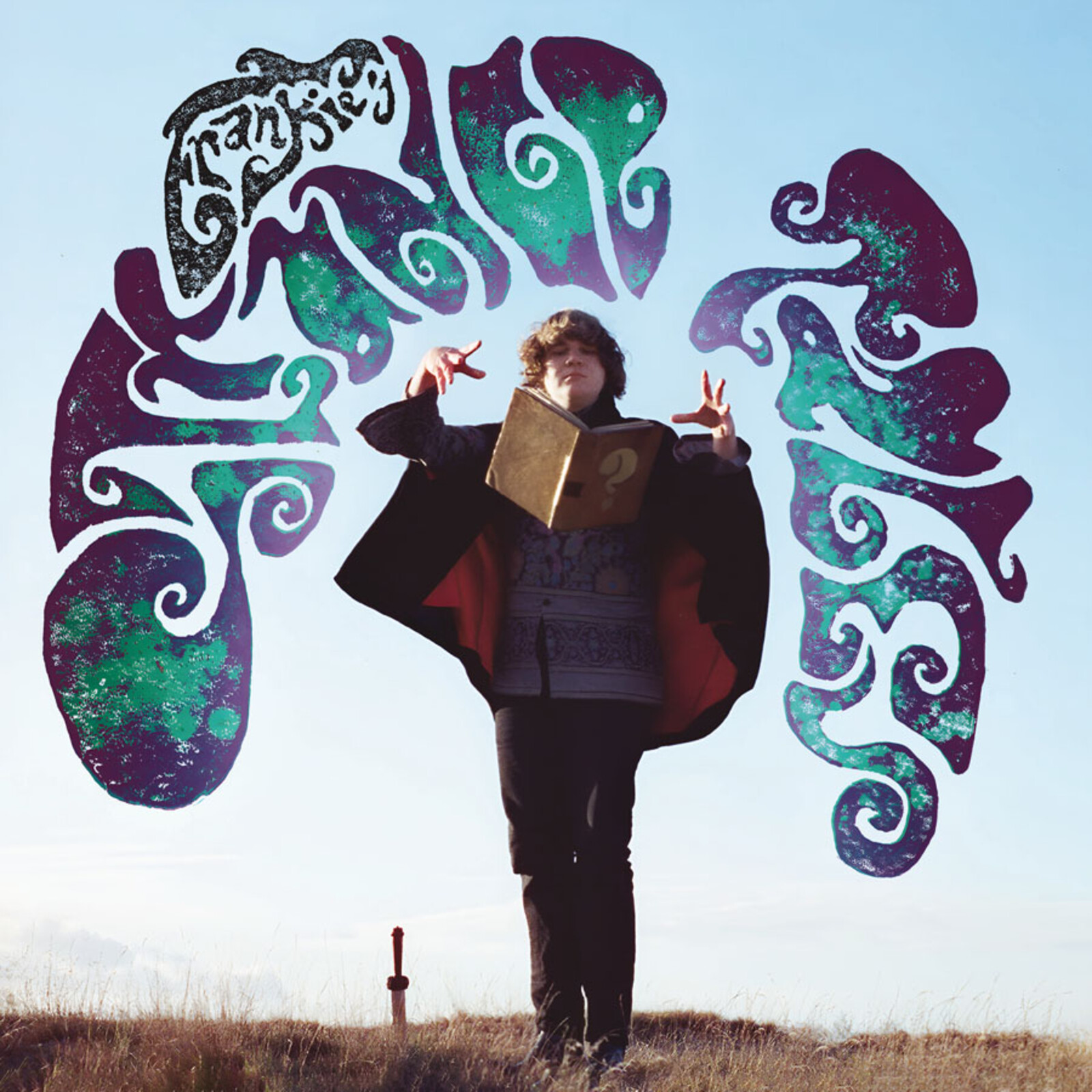 Picture of Frankie - Strange Tales