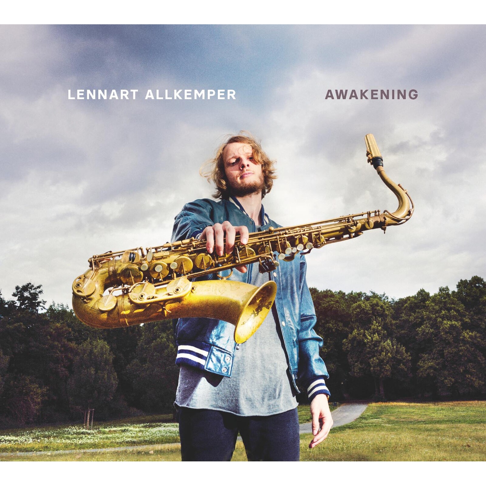 Picture of LENNART ALLKEMPER - Awakening