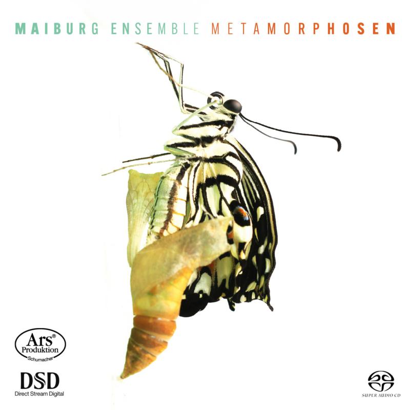 Picture of Maiburg Ensemble - Metamorphosen - Works By Mahler, Mendelssohn