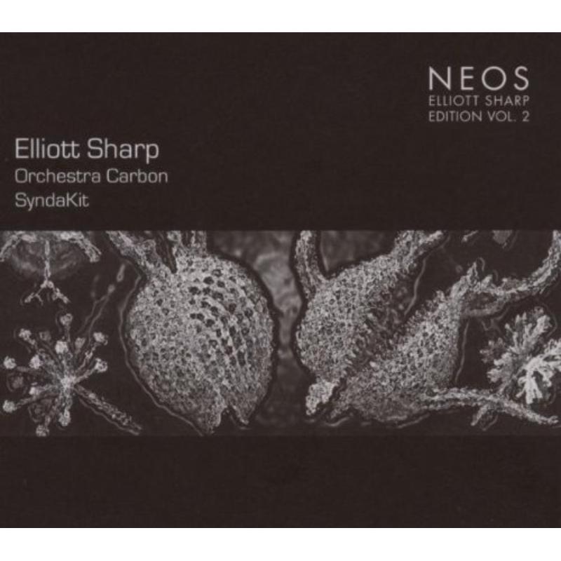 Picture of E. Sharpe Orchestra Carbon - Syndakit