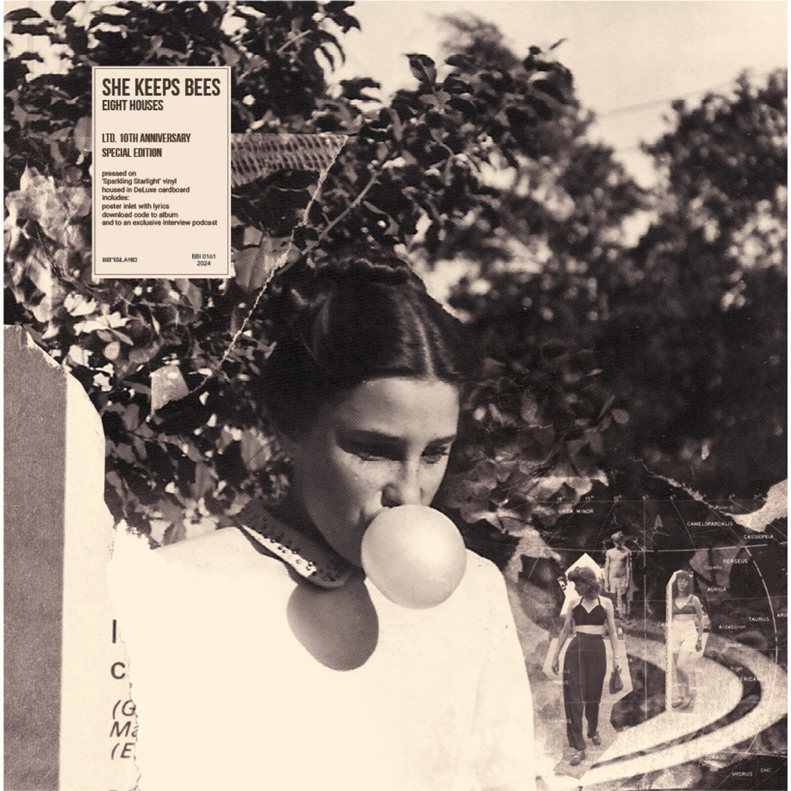 Picture of She Keeps Bees - Eight Houses