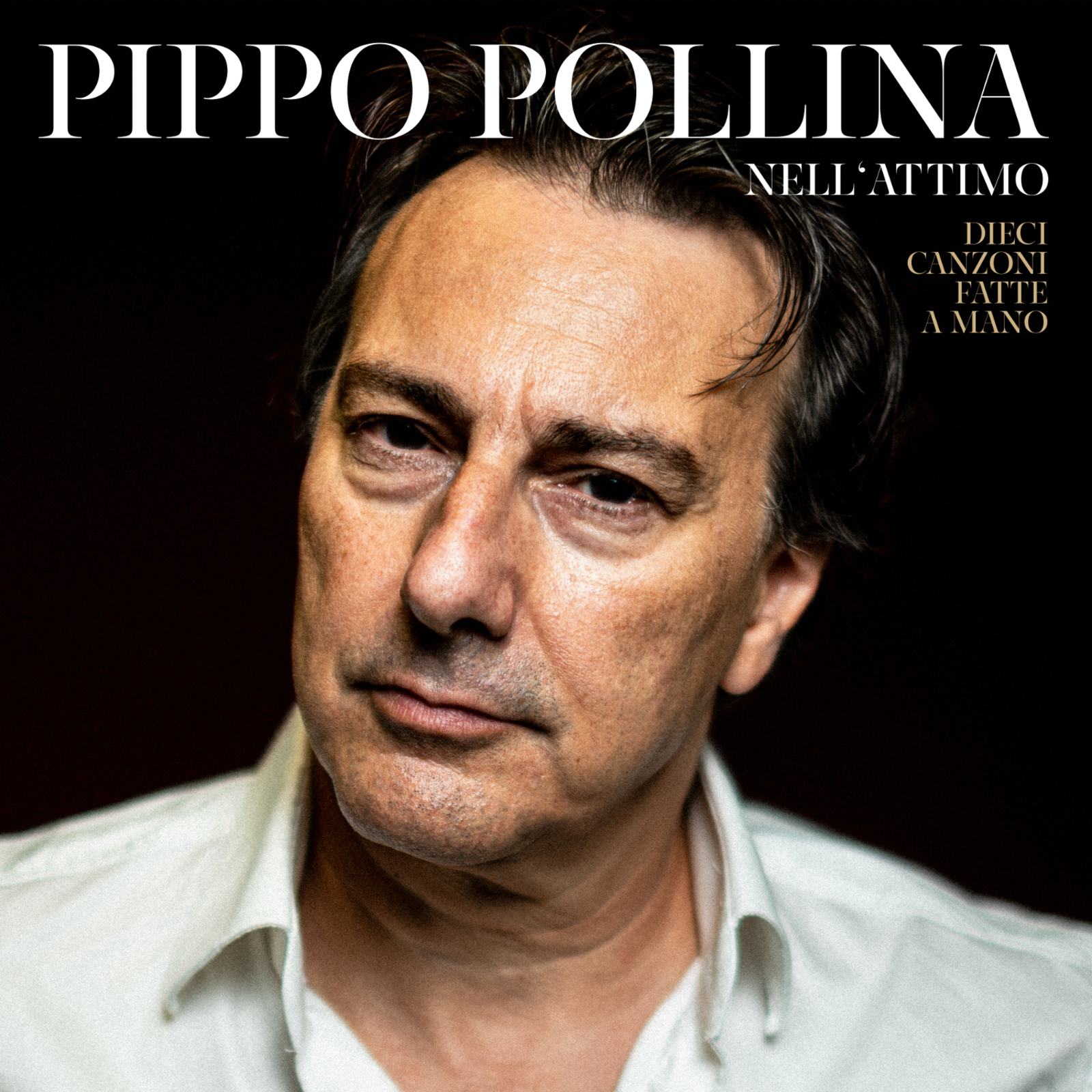 Picture of Pippo Pollina - Nell'attimo