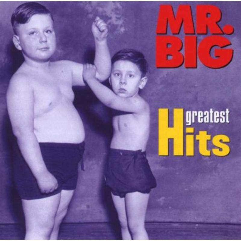 Picture of Mr. Big - Greatest Hits