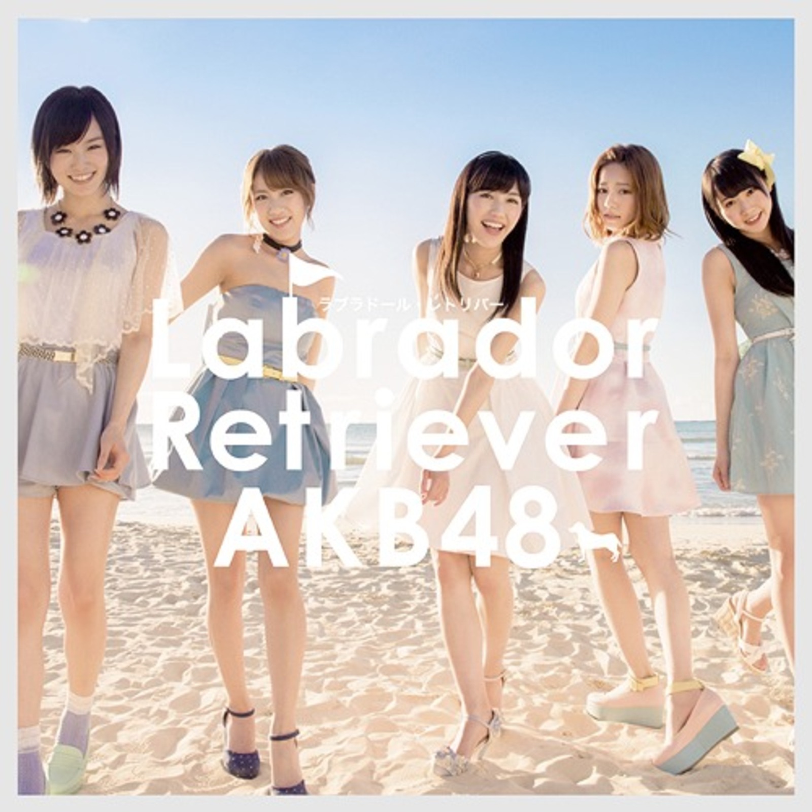 Picture of AKB48 - Labrador Retriever [Type A]