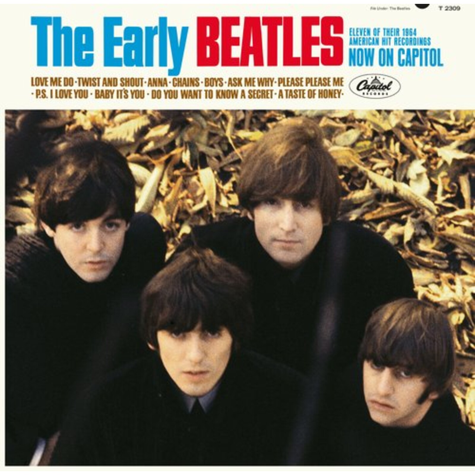 Picture of Beatles - The Early Beatles