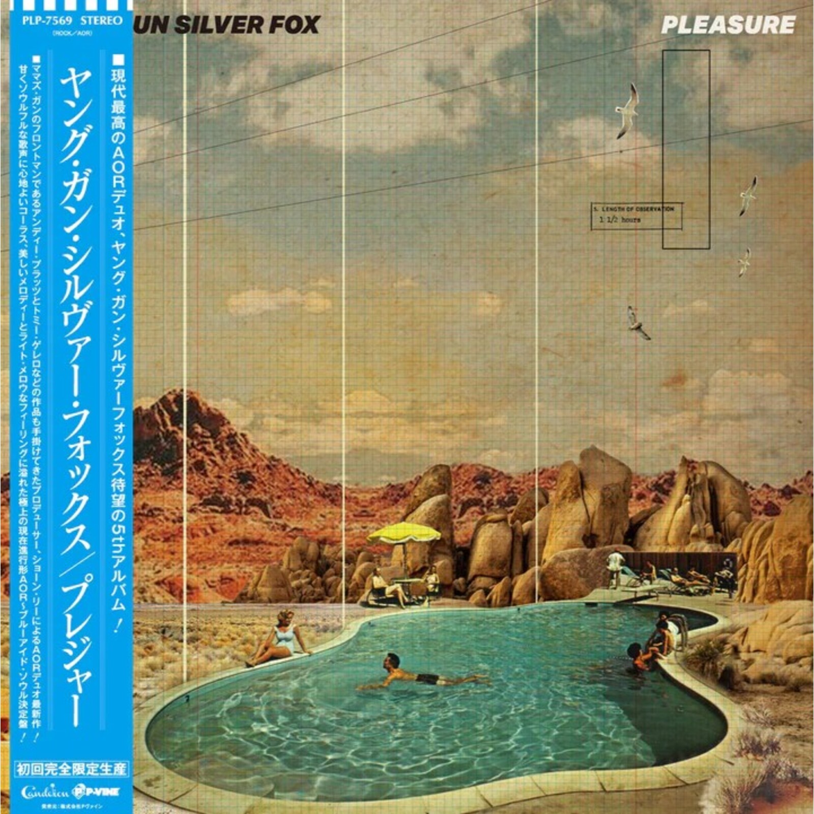 Picture of Young Gun Silver Fox - Pleasure