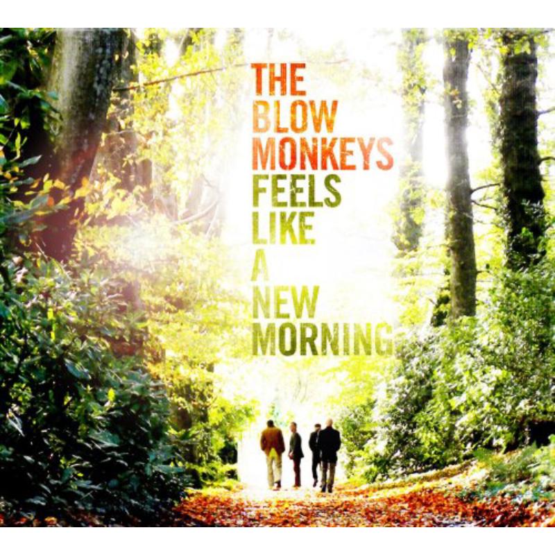 Picture of Blow Monkeys - Feels Like A New Morning