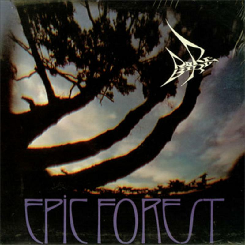 Picture of Rare Bird - Epic Forest