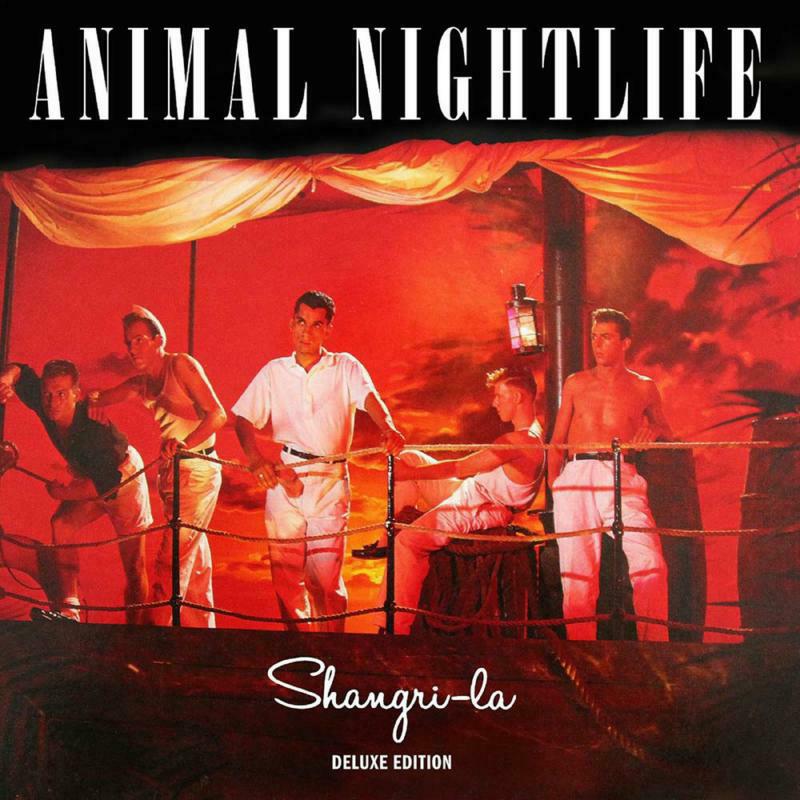 Picture of Animal Nightlife - Shangri-la