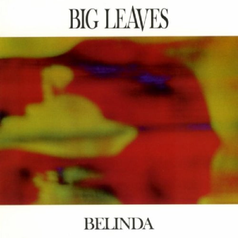 Picture of Big Leaves - Belinda