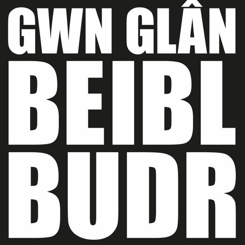 Picture of Lleuwen - Gwn Glan Beibl Budr