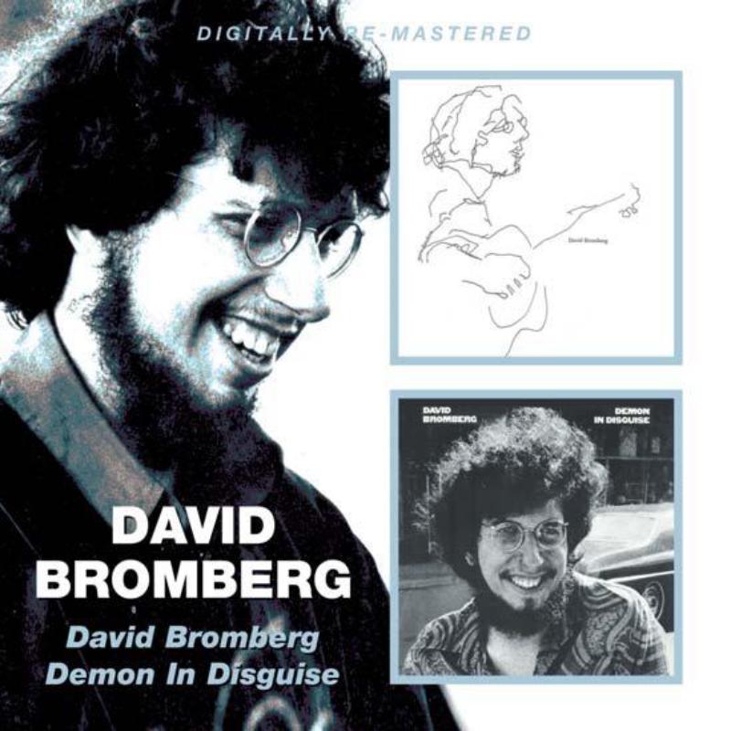Picture of David Bromberg - David Bromberg / Demon In Disguise