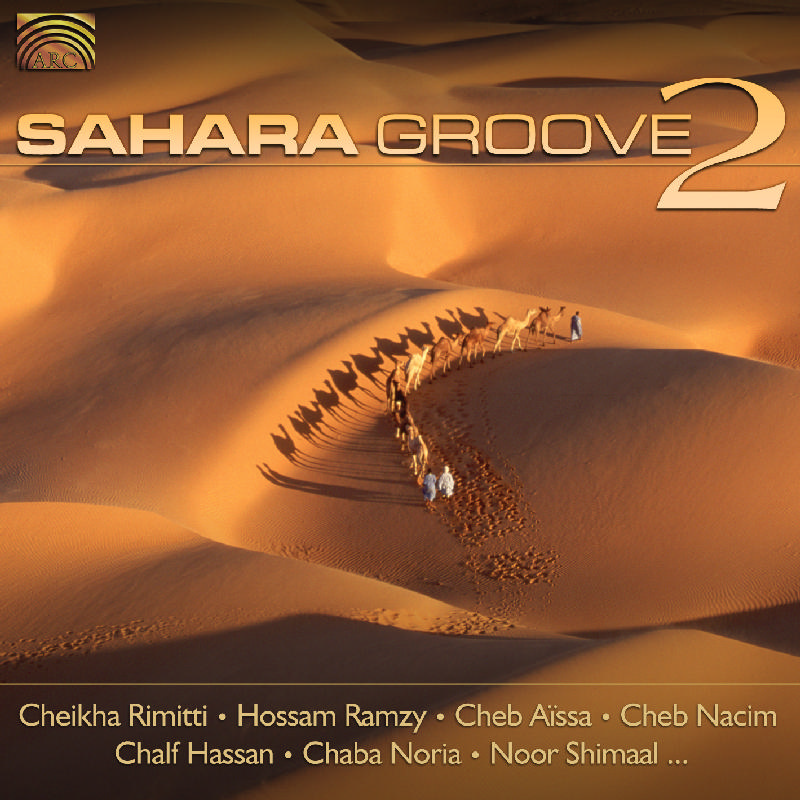 Picture of Various Artists - Sahara Groove 2