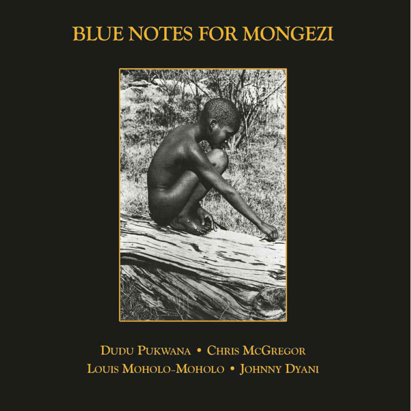 Picture of Blue Notes - Blue Notes For Mongezi