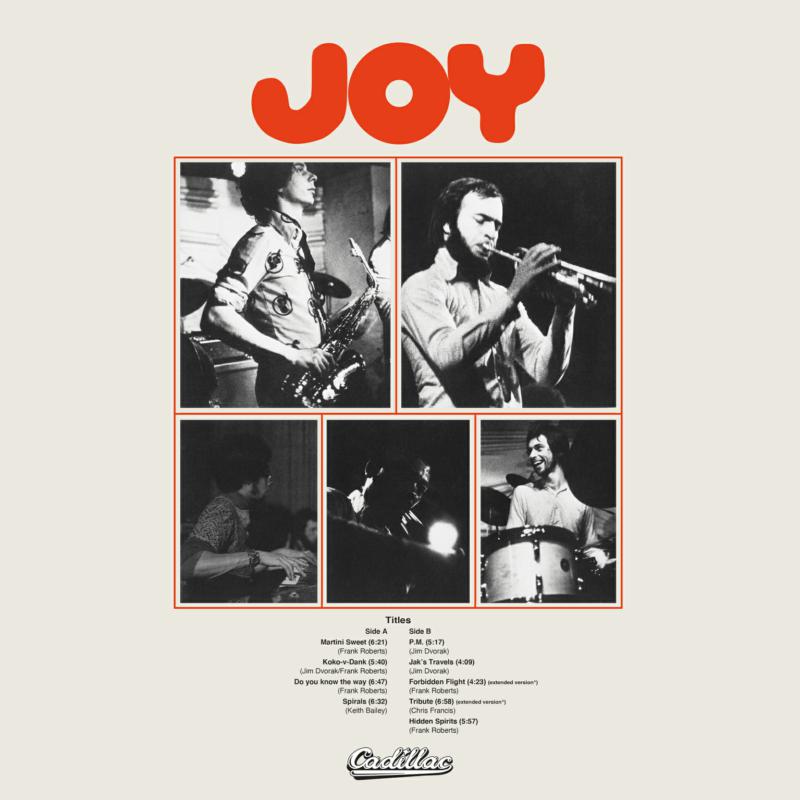 Picture of Joy - Joy