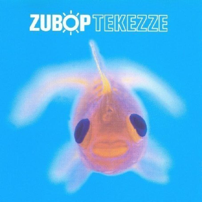 Picture of Zubop - Tekezze