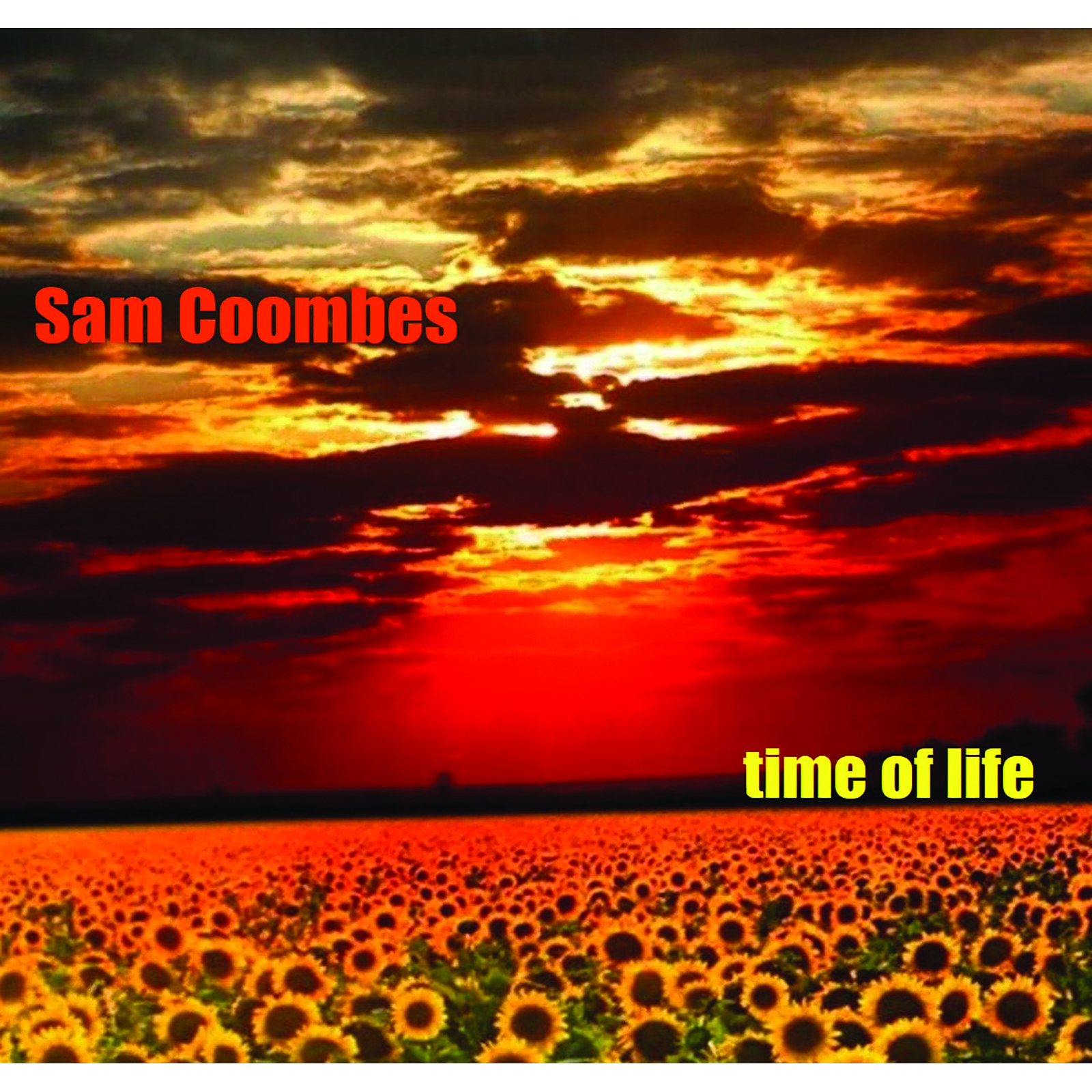 Picture of Sam Coombes - Time of Life