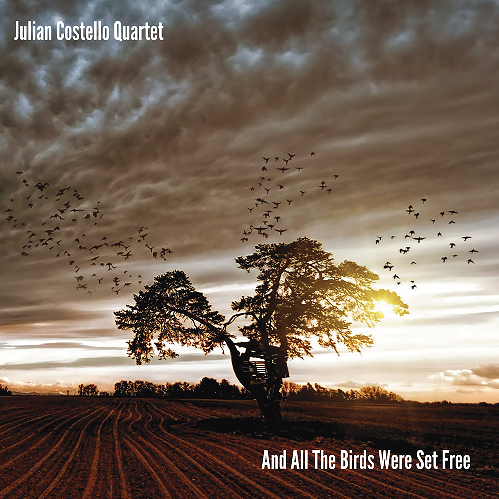 Picture of Julian Costello Quartet - And All the Birds Were Set Free