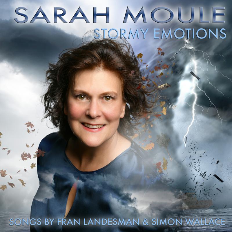 Picture of Sarah Moule - Stormy Emotions