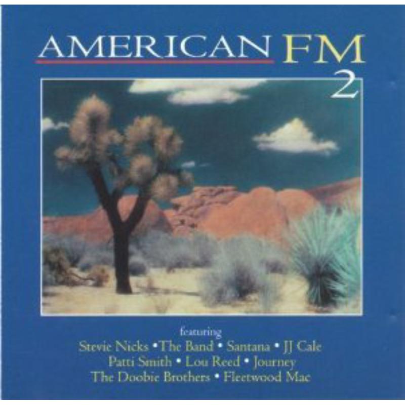 Picture of Various Artists - American Fm 2