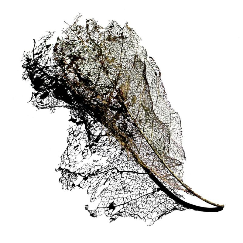 Picture of Max Cooper - Earth EP