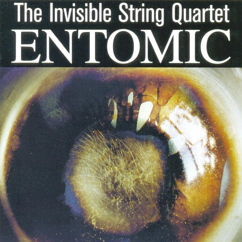 Picture of The Invisible String Quartet - Entomic