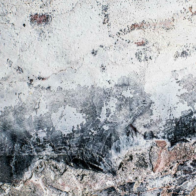 Picture of Ian & Erik Wollo Boddy - Meridian