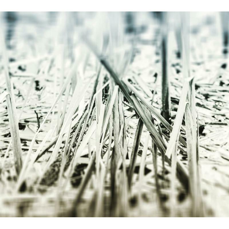 Picture of Scanner - An Ascent