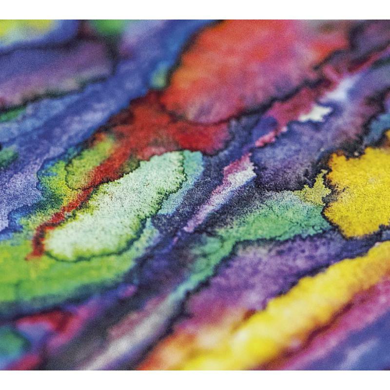 Picture of Polypores - Hyperincandescent