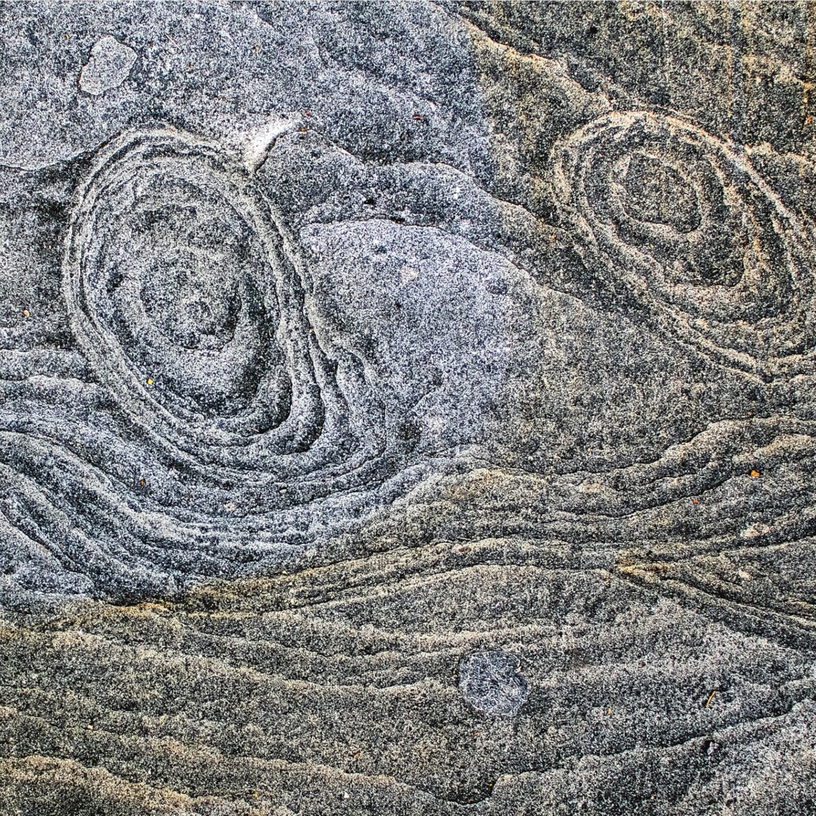 Picture of Sophos - Sending Signals