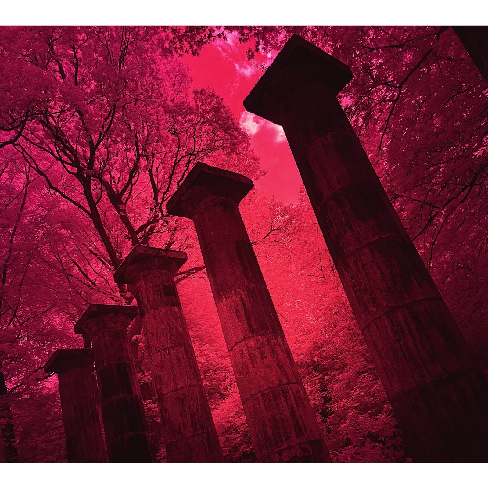 Picture of Arc - Chronicle