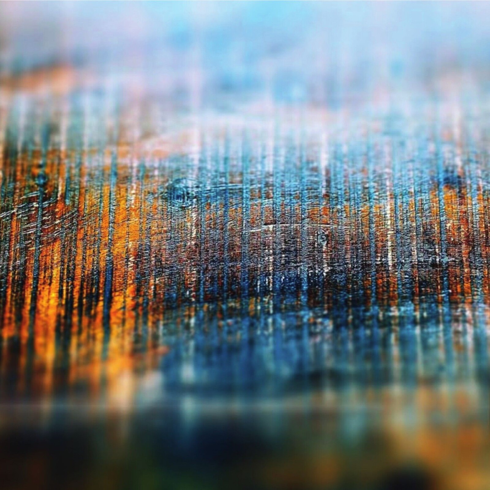 Picture of Field Lines Cartographer - Resplendent In The Light Of The Universe