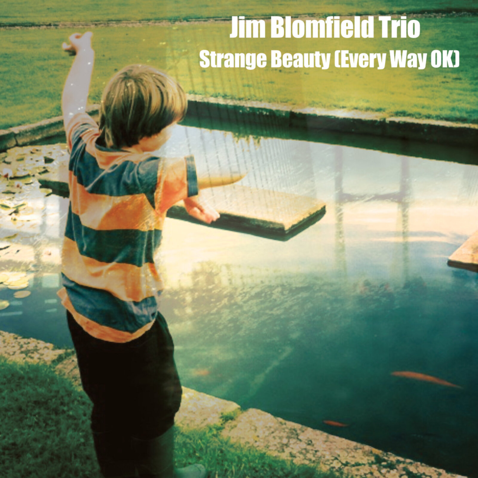 Picture of Jim Blomfield Trio - Strange Beauty (Every Way OK)