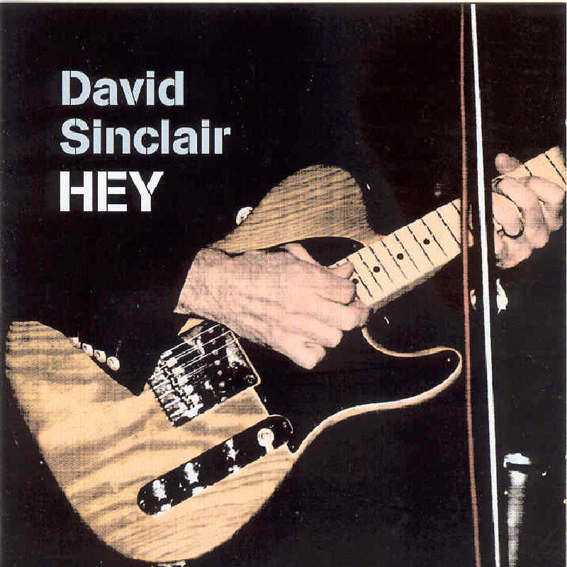 Picture of David Sinclair - Hey