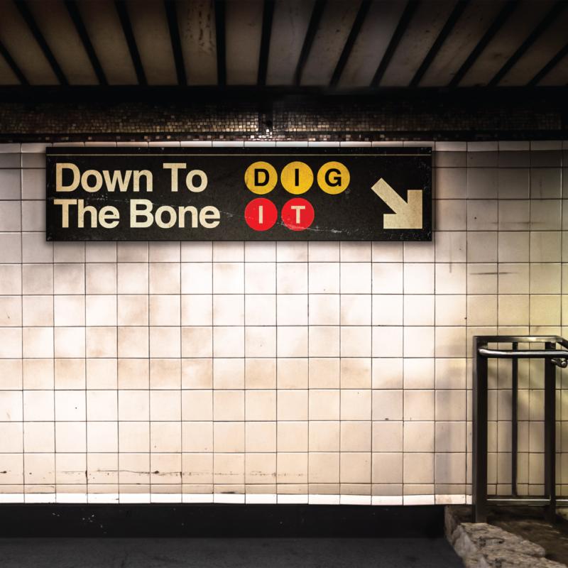 Picture of Down To The Bone - Dig It