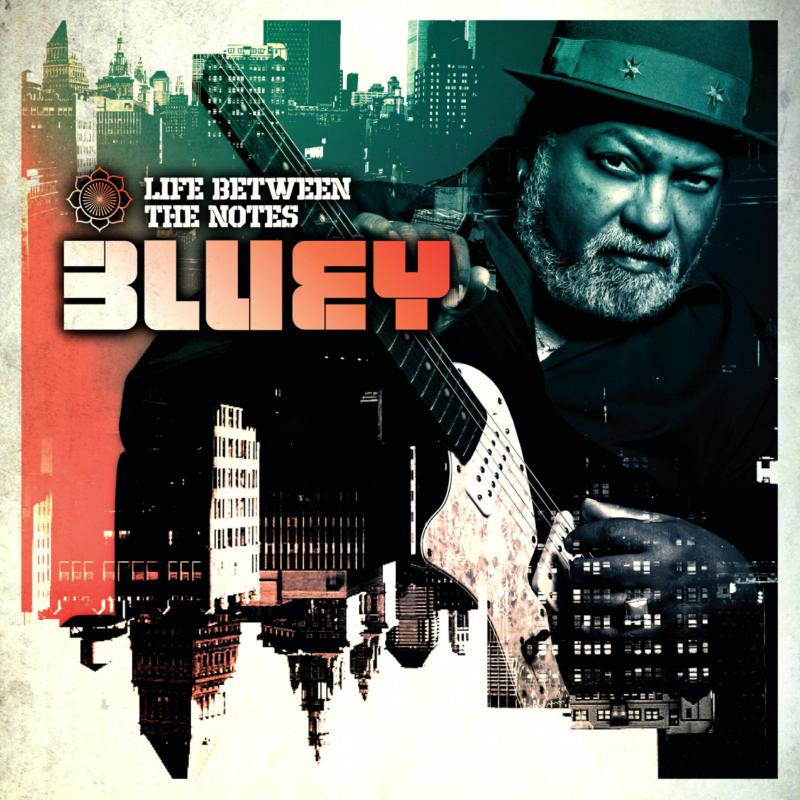 Picture of Bluey - Life Between The Notes