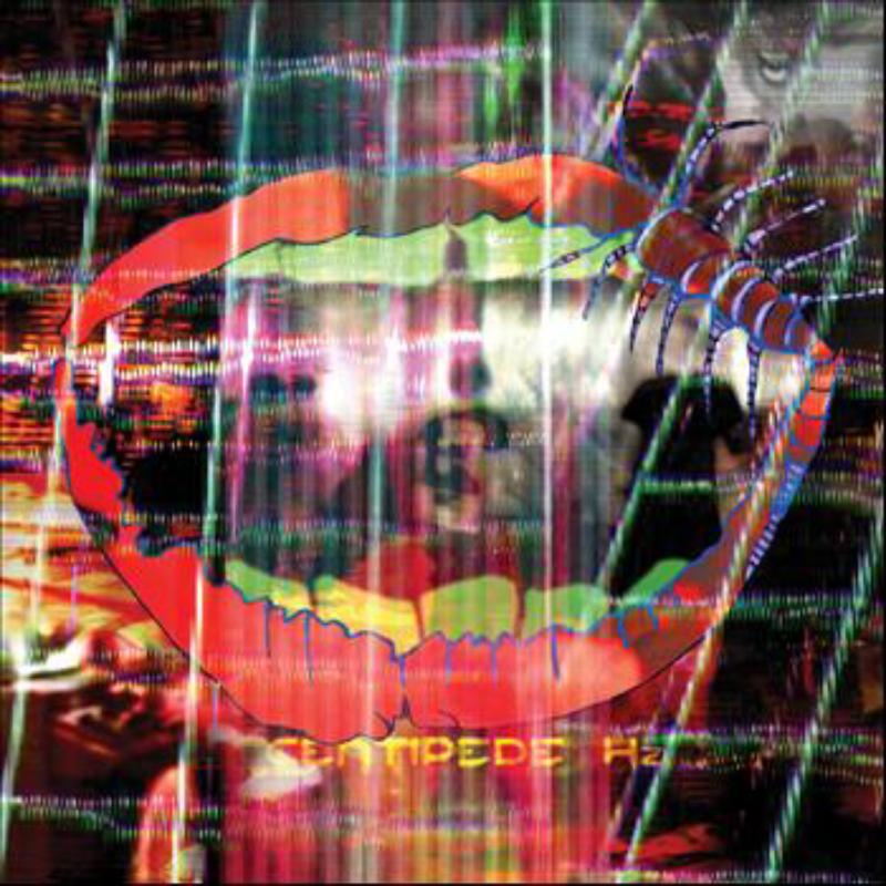Picture of Animal Collective - Centipede Hz