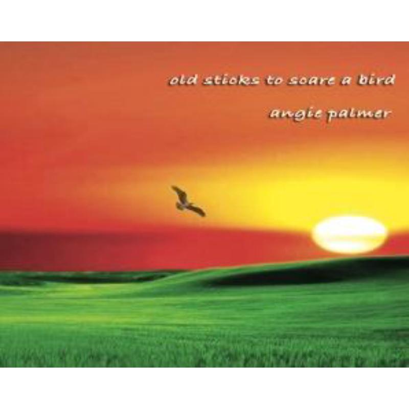 Picture of Angie Palmer - Old Sticks To Scare A Bird