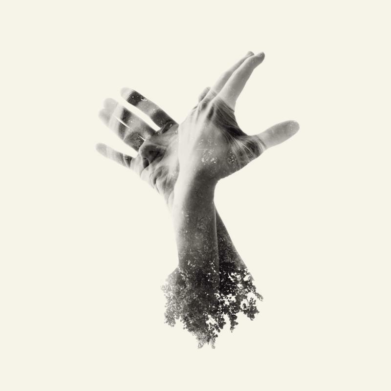 Picture of The Last Dinosaur - The Nothing