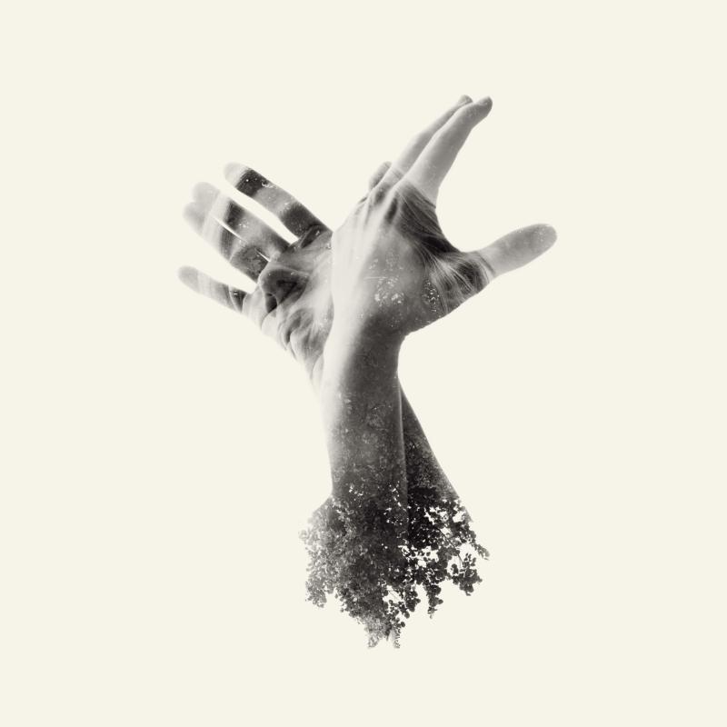 Picture of The Last Dinosaur - The Nothing