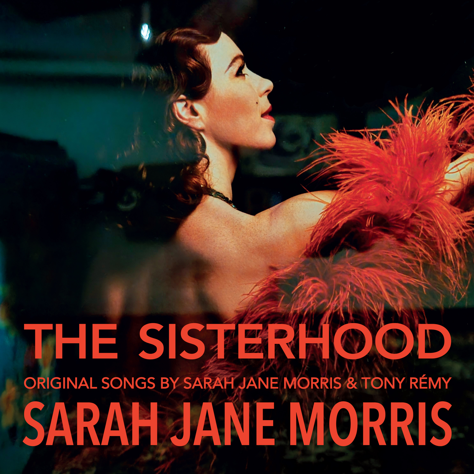 Picture of Sarah Jane Morris - The Sisterhood