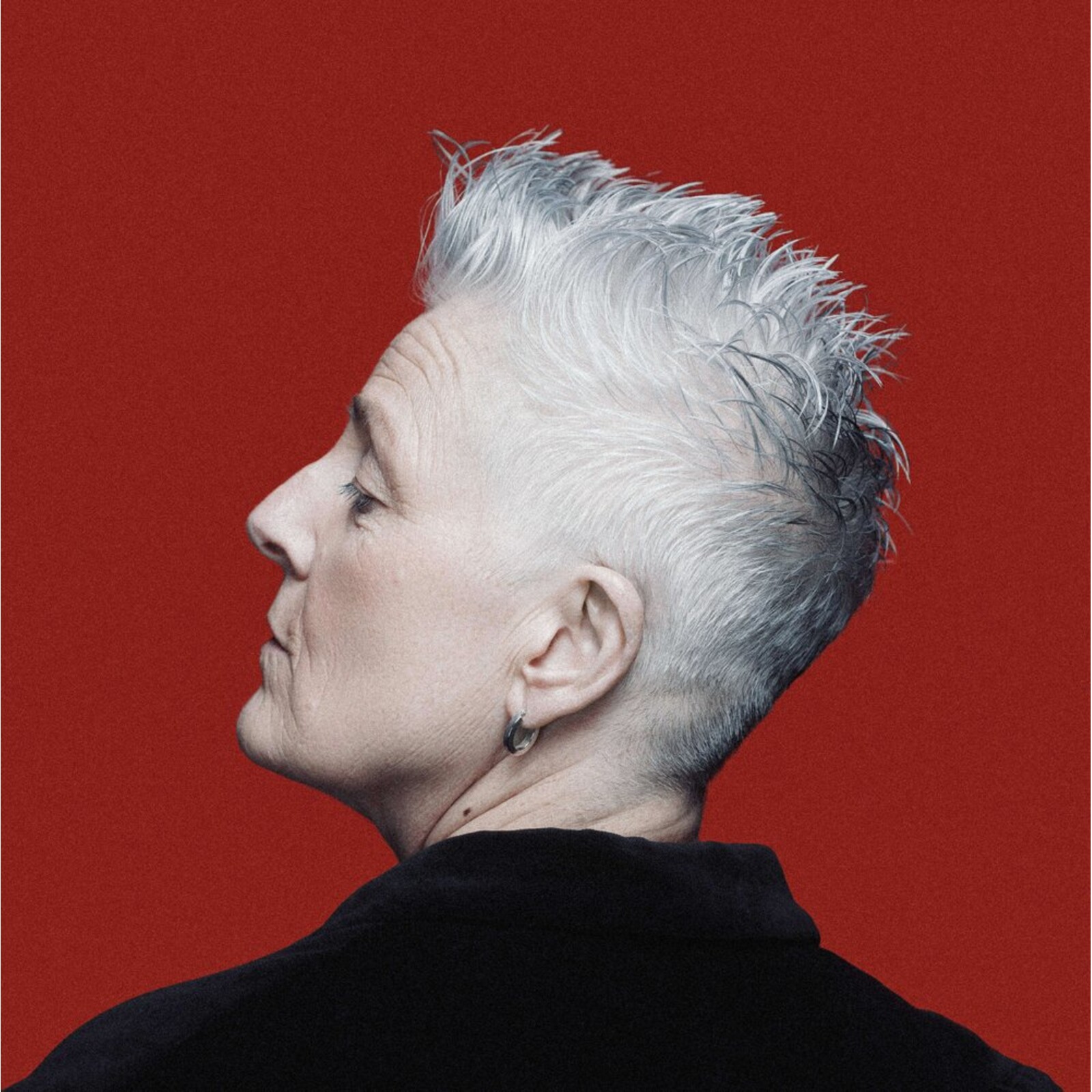 Picture of Horse - The Road Less Travelled