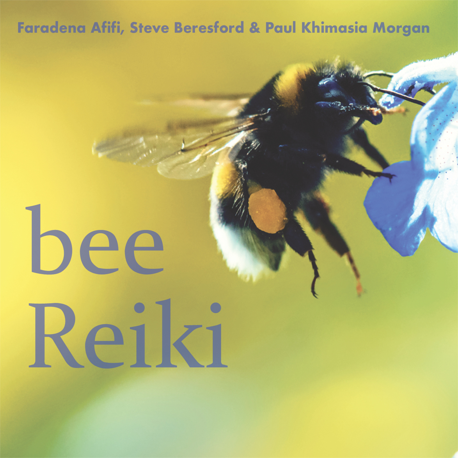 Picture of Faradena Afifi, Steve Beresford & Paul Khimasia Morgan - Bee Reiki