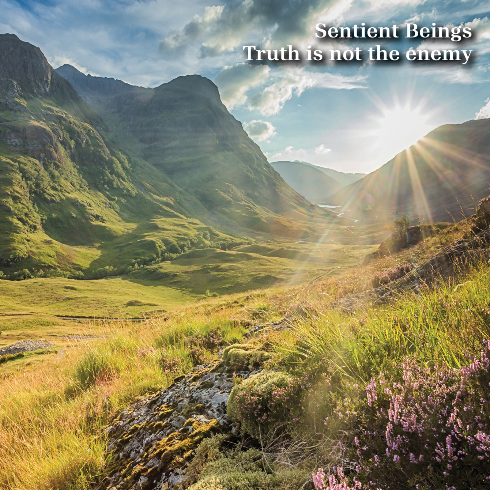 Picture of Sentient Beings - Truth Is Not The Enemy