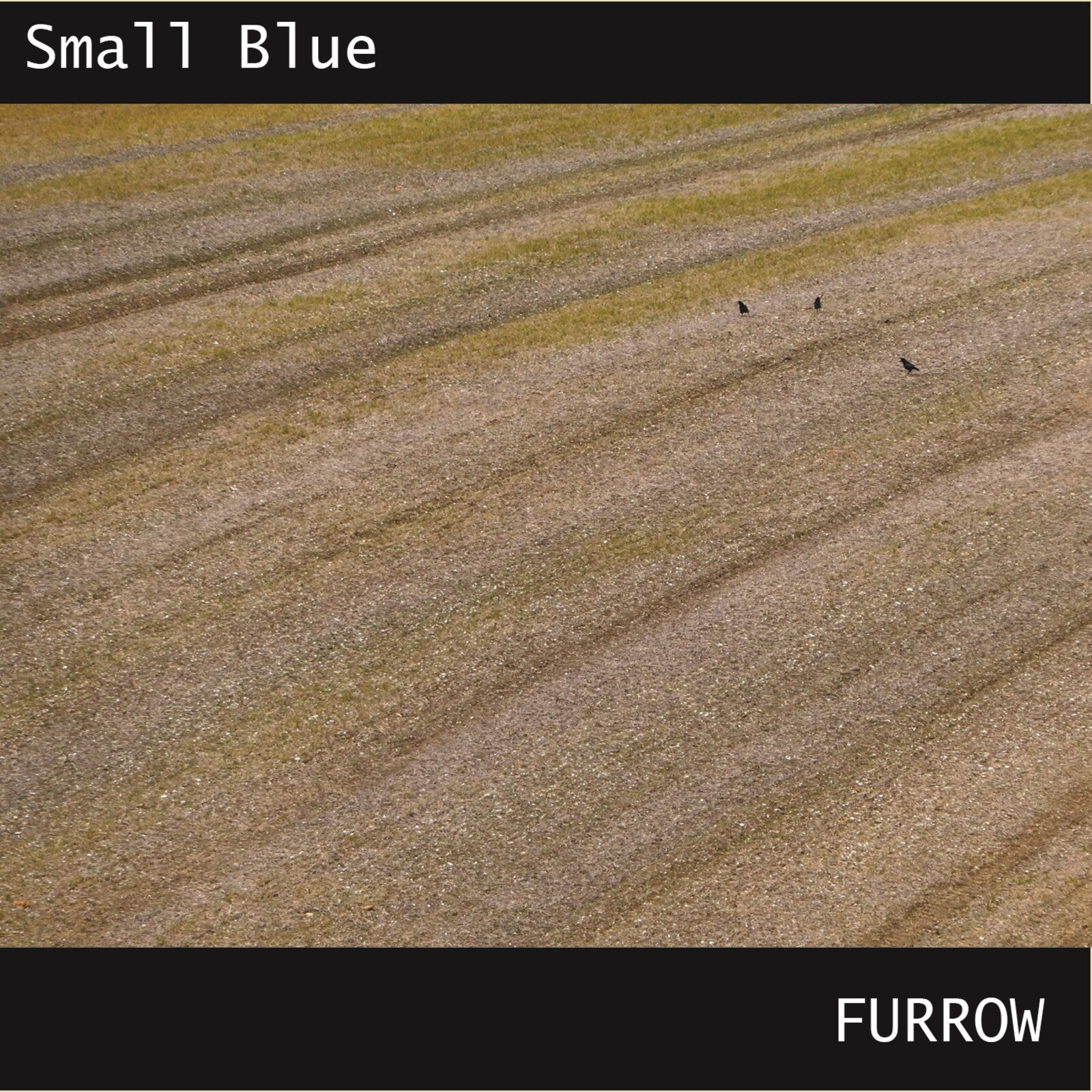 Picture of Small Blue - Furrow