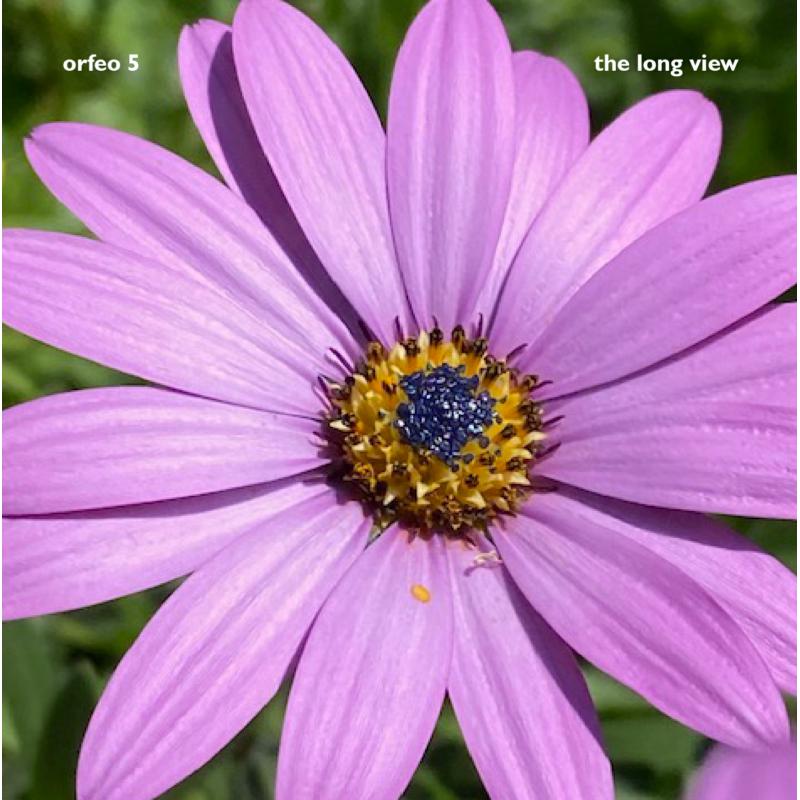 Picture of Orfeo 5 - The Long View