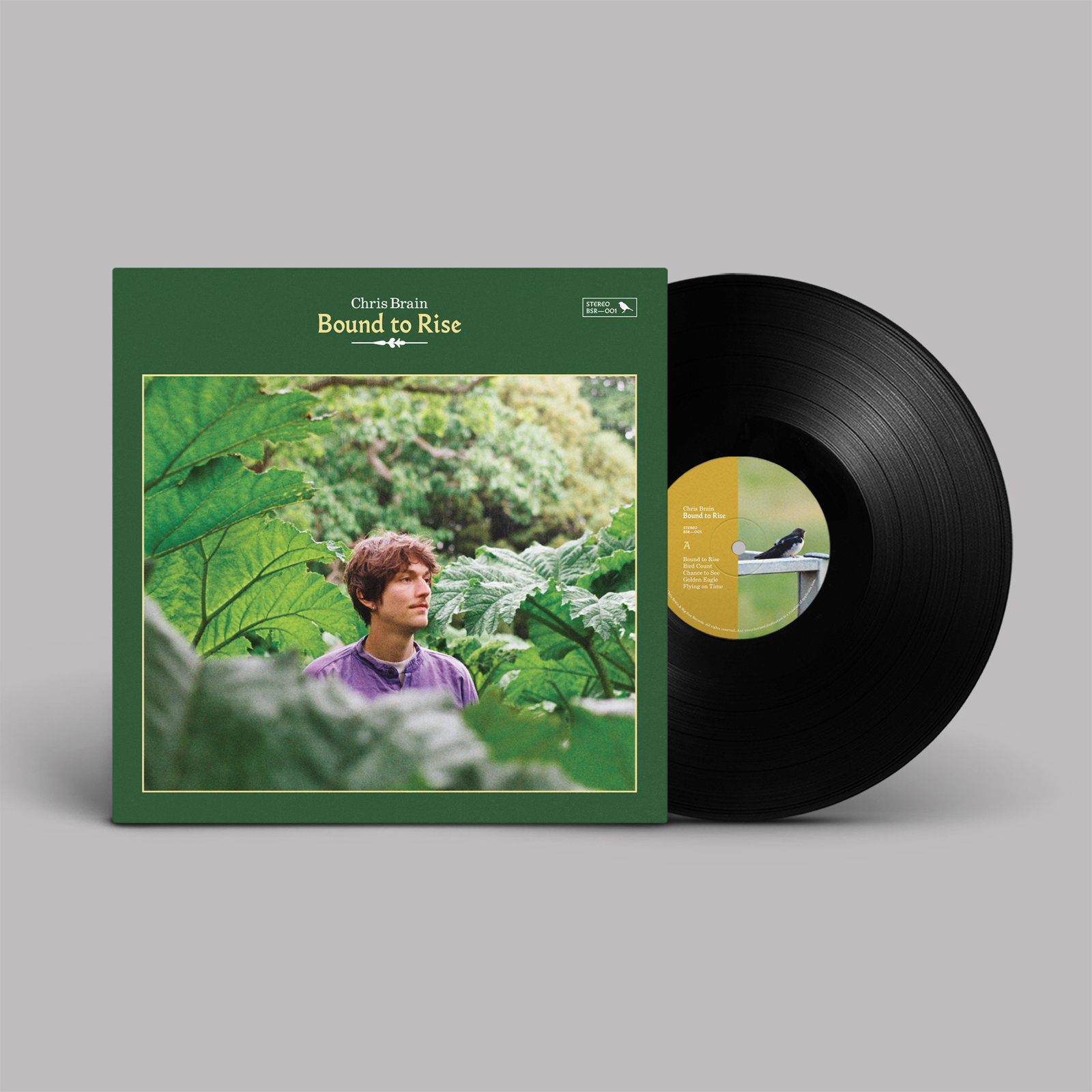 Picture of Chris Brain - Bound to Rise