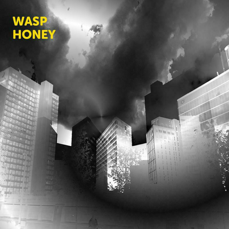Picture of Martin Archer, John Jasnoch, Sarah Farmer & Lee Boyd Allatson - Wasp Honey